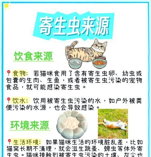 流浪猫粮防虫害的有效方法是什么？