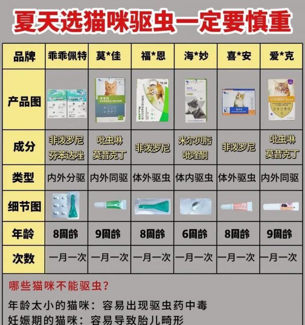 流浪猫粮防虫害的有效方法是什么？