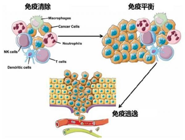 宝宝生病少=抵抗力好？提升孩子免疫力，四招简单还管用