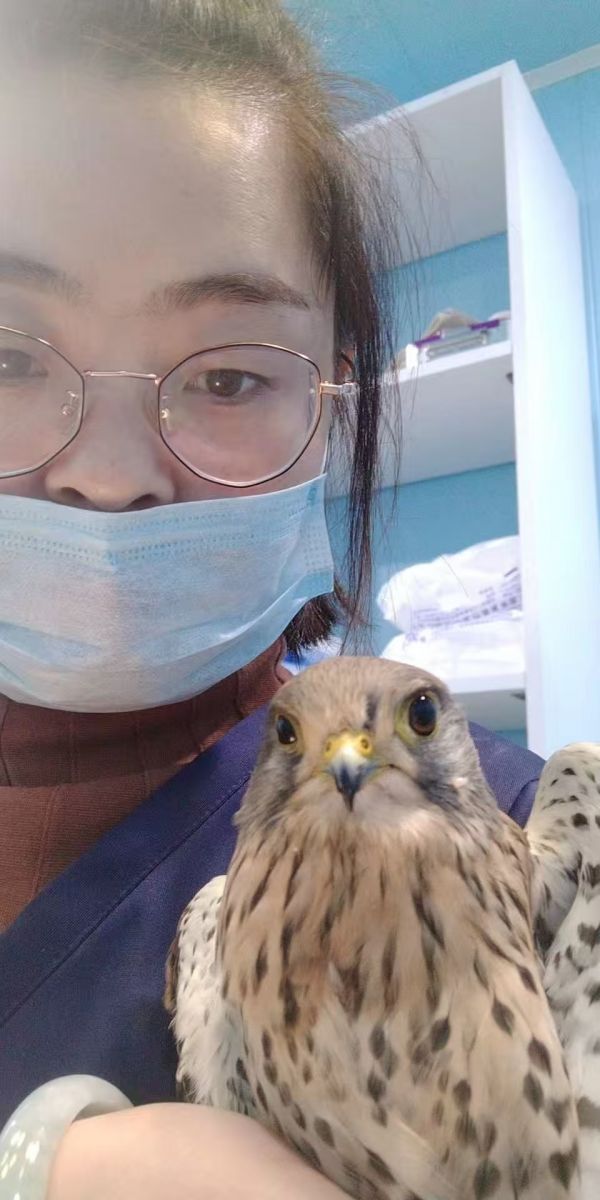 深州市尚爱宠物医院诊疗环境