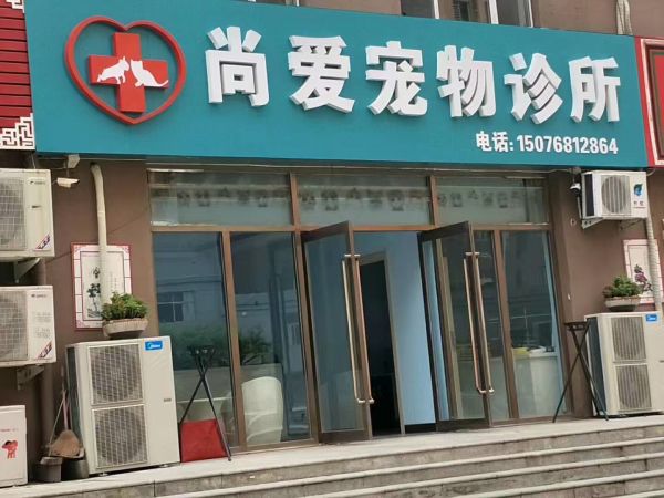 深州市尚爱宠物医院团队