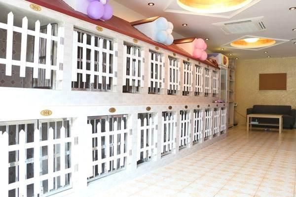 出行不让带宠物, 寄养就是第一选择, 告诉大家怎样寄养更安全