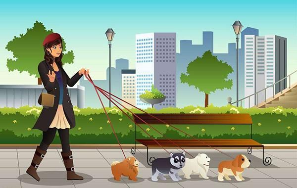 出行不让带宠物, 寄养就是第一选择, 告诉大家怎样寄养更安全