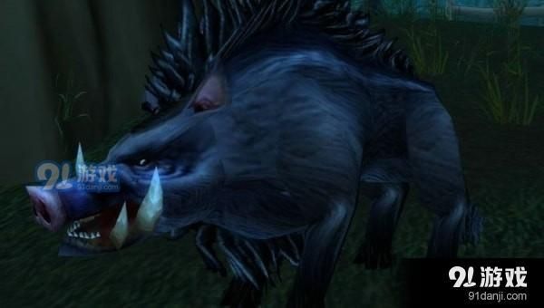 《魔兽世界怀旧服》猪宝宝技能推荐