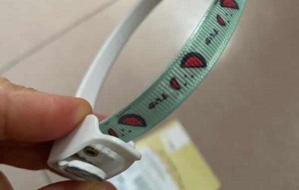 COODORA宠物驱蚊虫项圈：夏日防虫必备，守护爱宠健康