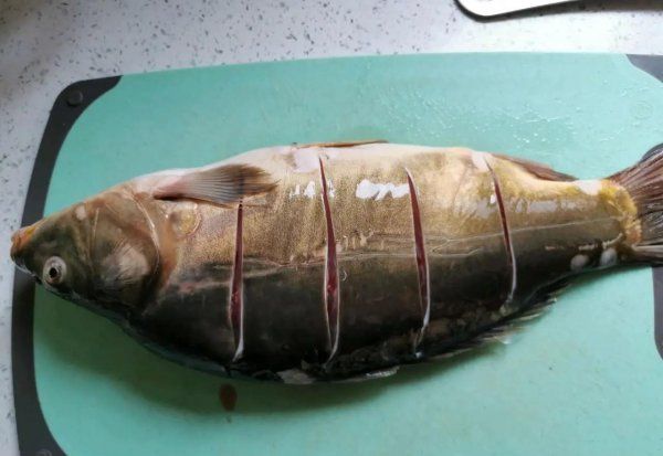 淡水鱼类有哪些