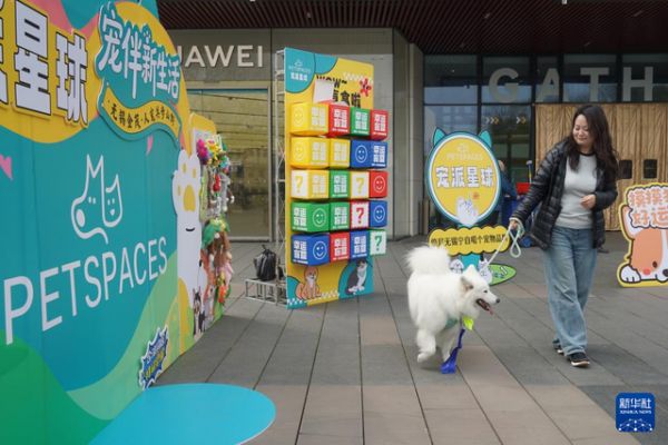 3月15日，在无锡市运河汇街区，一位女士带着宠物狗参加活动。 新华社发（刘臻睿摄）