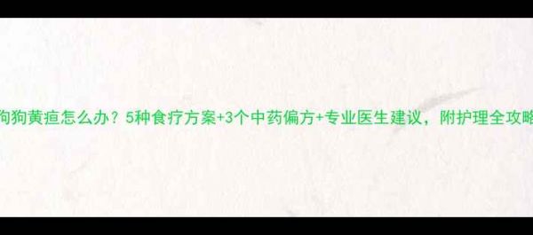 图片 狗狗黄疸怎么办？5种食疗方案+3个中药偏方+专业医生建议，附护理全攻略！