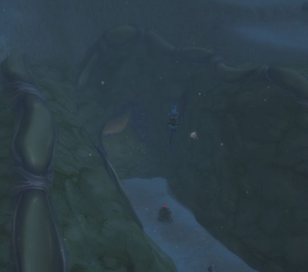 魔兽世界20周年解密庆典箱子位置大全