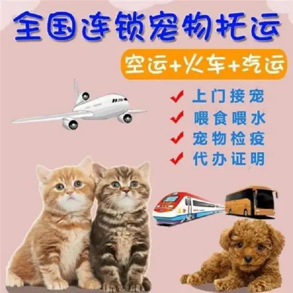 运输 佛山狗狗托运单托运