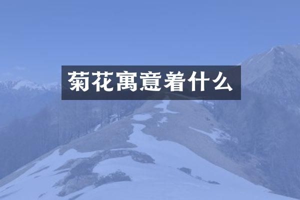 菊花寓意着什么