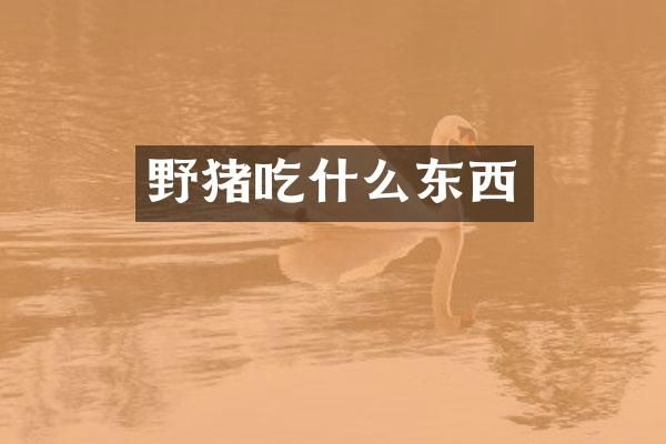 野猪吃什么东西