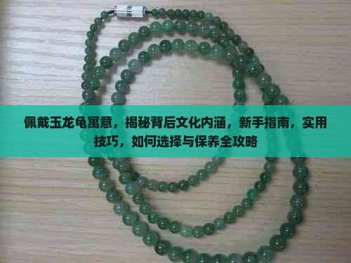 佩戴玉龙龟寓意