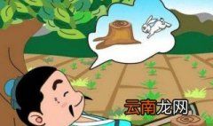 兔不可复得 兔不可复得的意思是什么