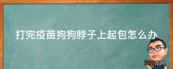 打完疫苗狗狗脖子上起包怎么办