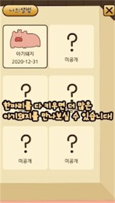 口袋宠物猪（아기돼지키우기）