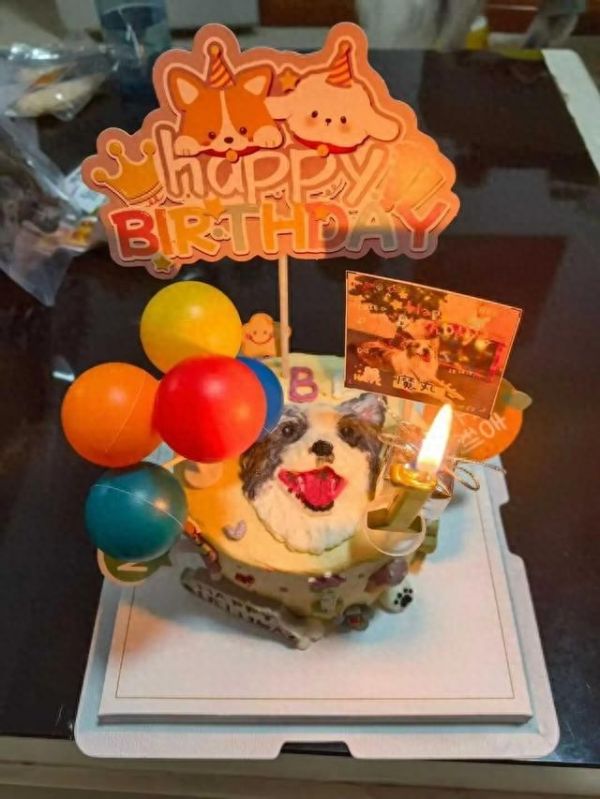 给宠物做蛋糕有人月入3万，一份188元引争议，是暴利还是真爱？