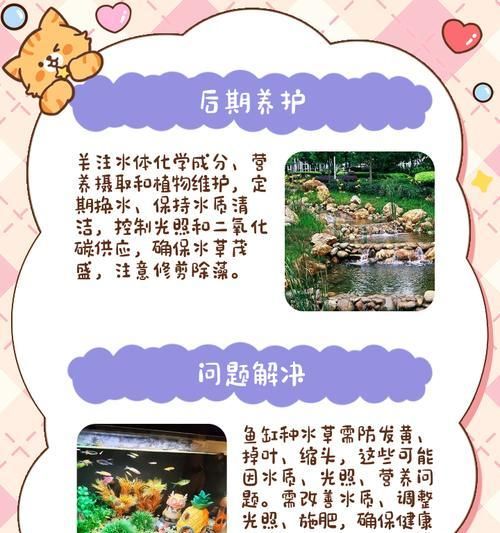 秋季鱼缸适合种植什么水草？如何种植和护理？