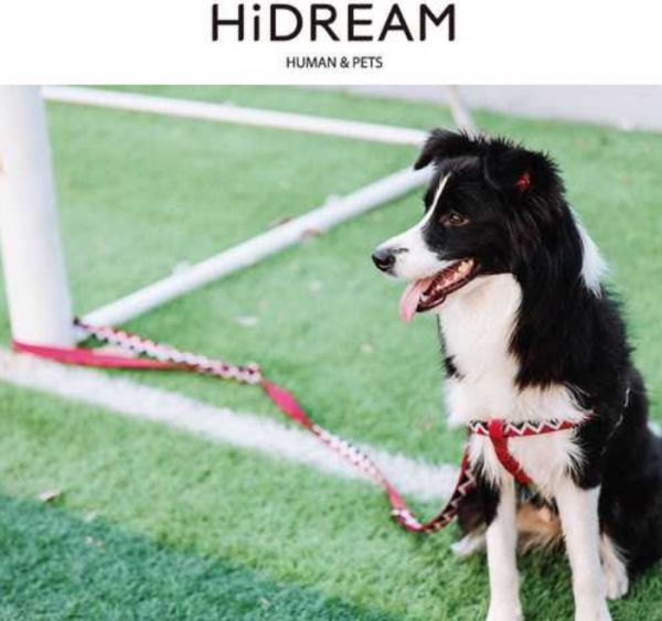 hidream宠物项圈——宠物出行好装备！