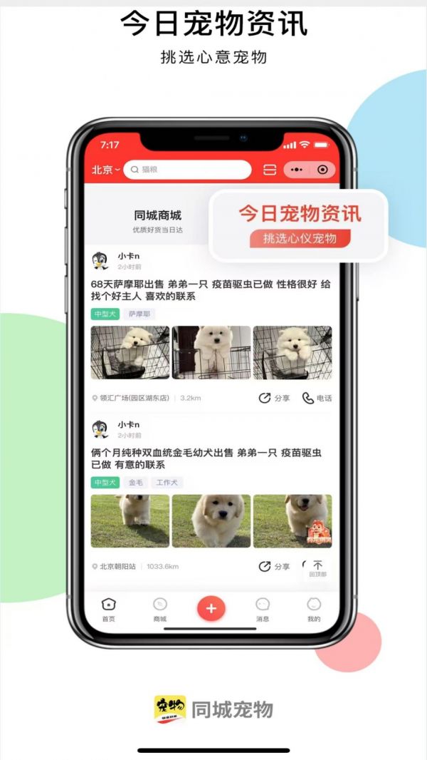 同城宠物电脑版截图
