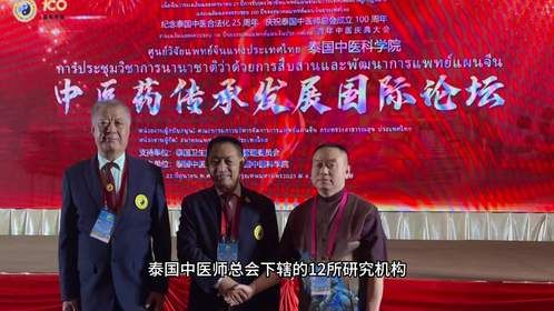 银针化情 铸中泰医脉共鸣：中泰一家亲，中医一家人—— 走近刘宏彬的世界非遗传承路