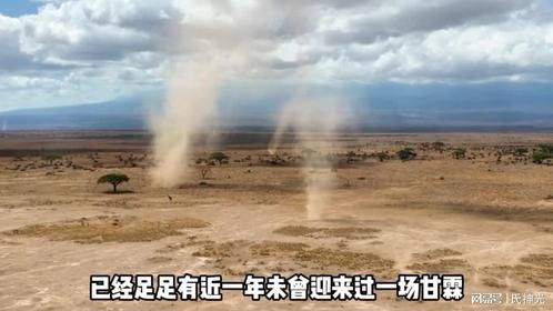 面对一年都未曾下雨的干旱，大象展现自己的图特的技能