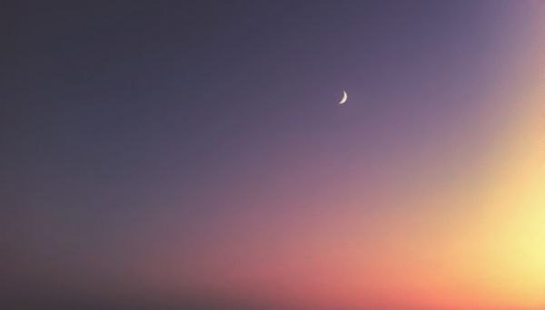 养龟有什么好处和坏处