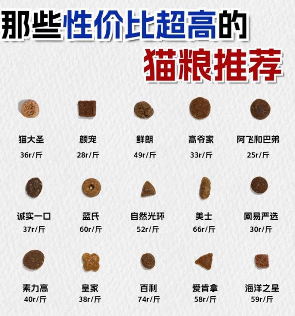 猫咪需要哪种类型的猫粮才能增重？