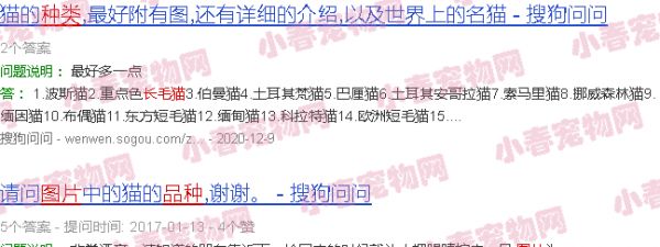 长毛猫咪品种大全及图片和名字