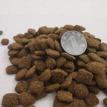 山东汉欧无谷猫粮OEM代工贴牌 益生菌猫粮改善肠道生产厂家宠物食品