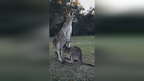 吃喝拉撒都在里面