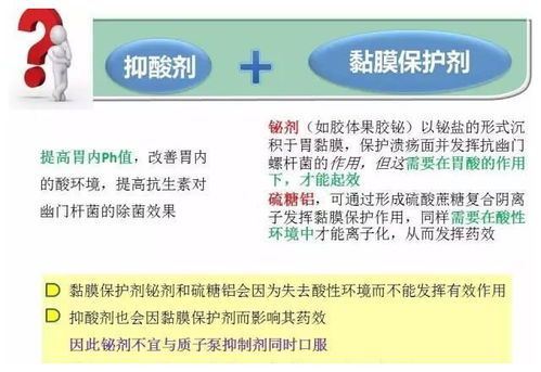 宠物胃药正确喂服指南