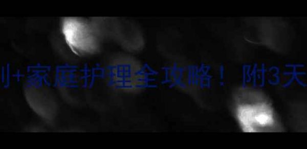 图片 幼犬肠胃炎症状识别+家庭护理全攻略!附3天调理食谱+避坑指南