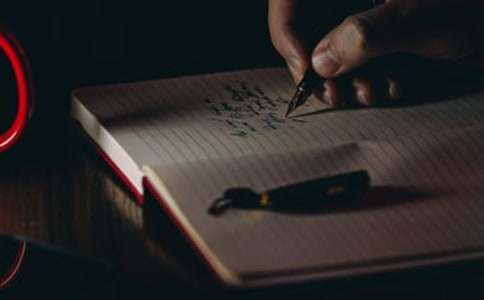 宠物作文500字合集五篇