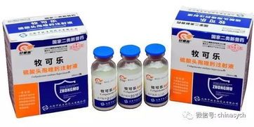 狗狗胃黏膜修复药盘点，宠物必备良药！