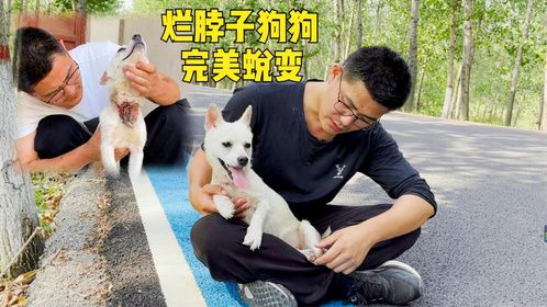 爱能疯狂长出血肉！被主人残忍伤害的狗狗，如今获救终于迎来康复