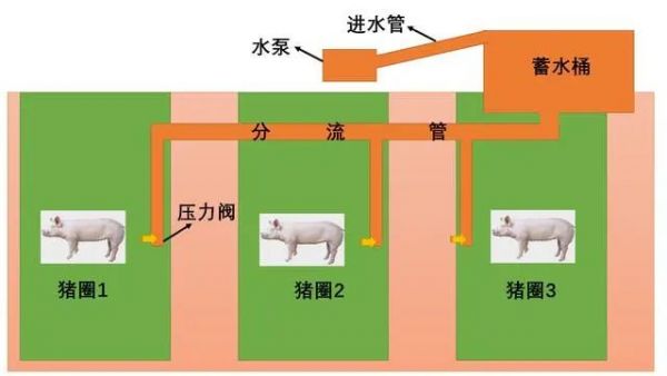 猪舍饮水设计
