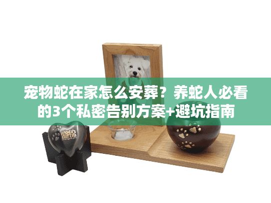 宠物蛇在家怎么安葬？养蛇人必看的3个私密告别方案+避坑指南