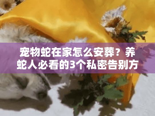 宠物蛇在家怎么安葬？养蛇人必看的3个私密告别方案+避坑指南