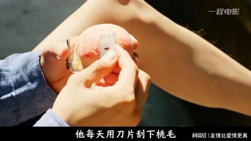 这一家人各个身怀绝技，怎么就无生计了呢