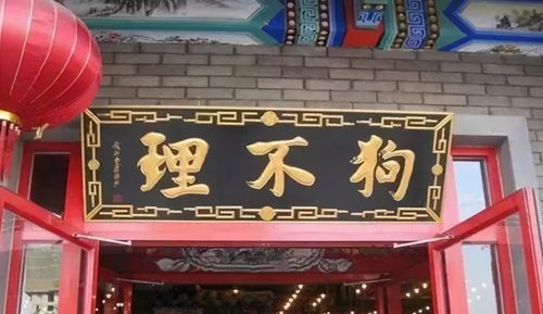 哈尔滨狗不理，宠物控必打卡！