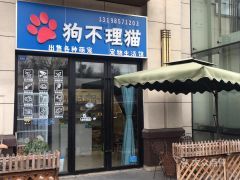 哈尔滨狗不理，宠物控必打卡！