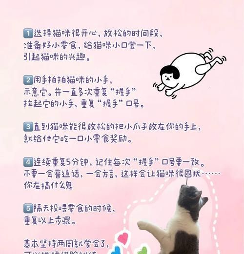 猫不会控食怎么训练吃猫粮？如何训练猫咪正确食用猫粮？