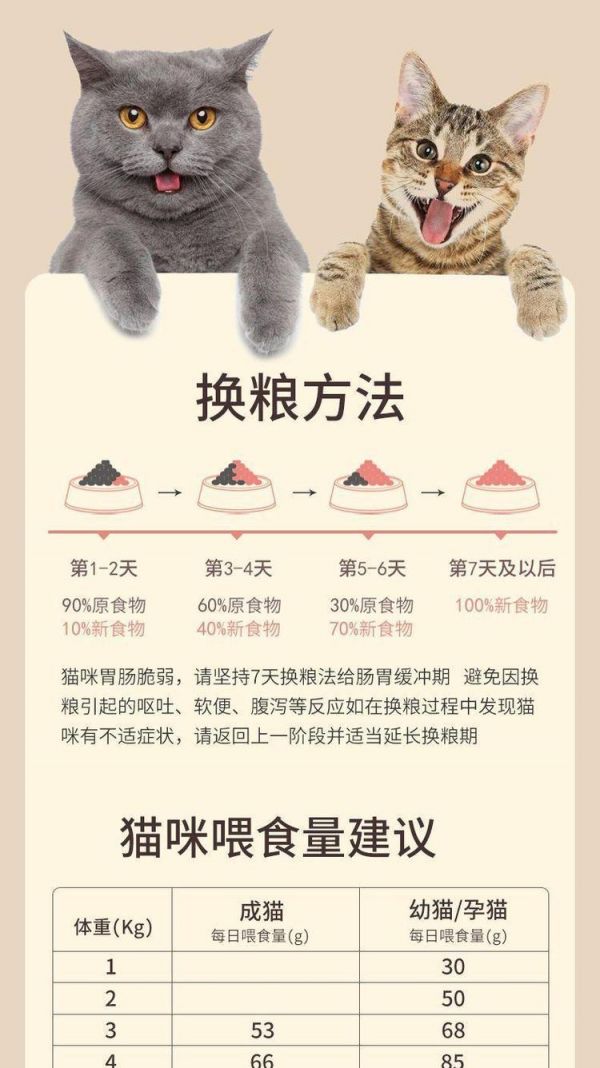 猫控粮如何控制食量？控食猫粮的正确方法是什么？