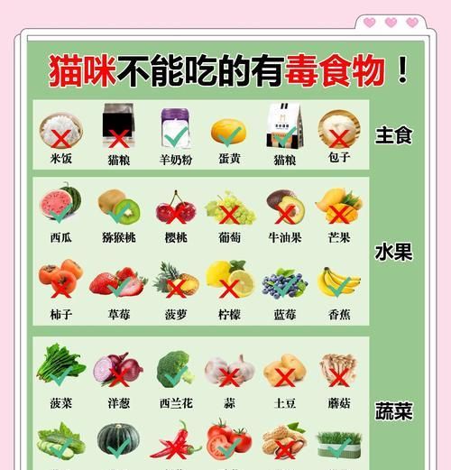 猫控粮如何控制食量？控食猫粮的正确方法是什么？