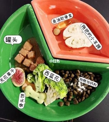 2个月雪纳瑞的食谱-图1