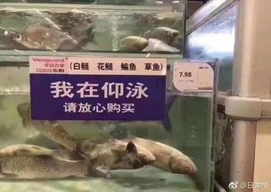 “揭秘宠物鱼走私，严惩犯罪守护生态美！”