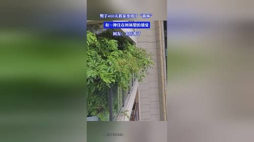 男子400天将家变成了“森林”有一种住在树林里的错觉