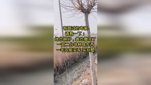 有专家能帮我参考一下吗