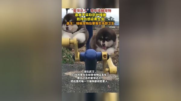 Thumbplayer Poster Plugin Image